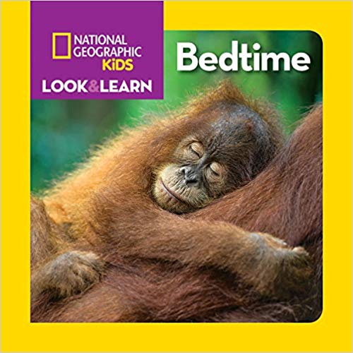 Look & Learn: Bedtime